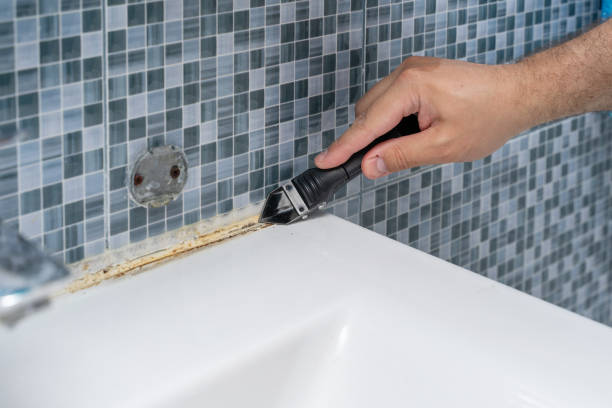 Best Post-Flood Mold Remediation in Port Orange, FL